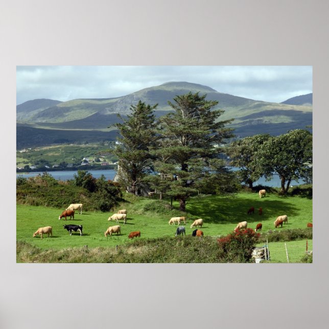 Póster poster del prado de la isla (Frente)