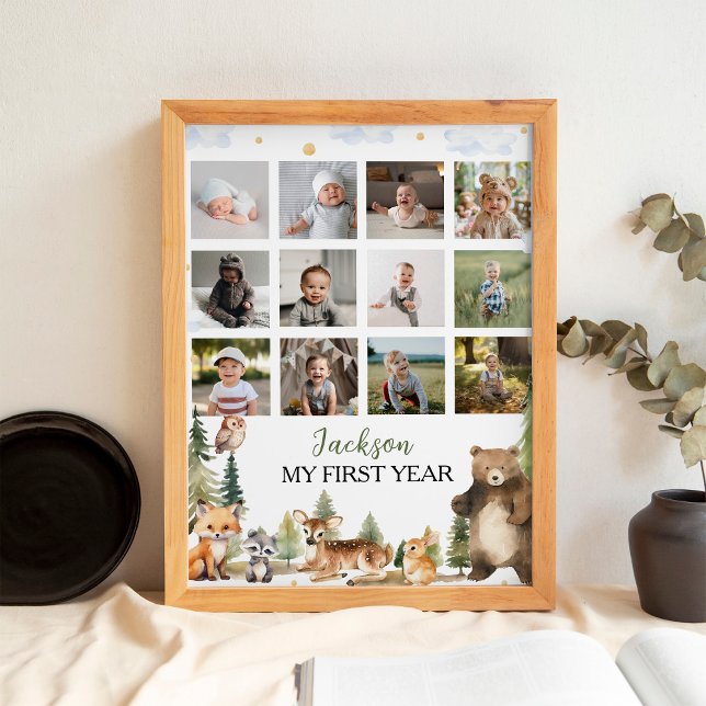 Póster Poster del primer año de la foto de Woodland Anima (Subido por el creador)