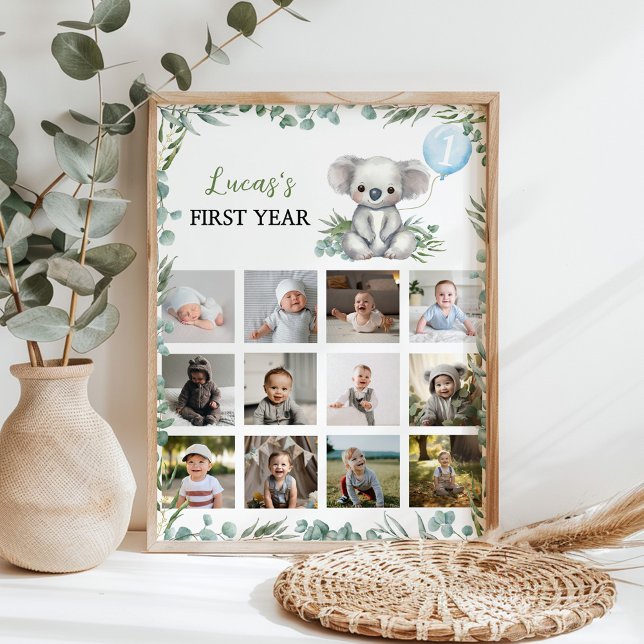 Póster Poster del primer año fotográfico de Koala Greener (Subido por el creador)