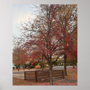 Póster Poster del Puente de Paseo de Otoño
