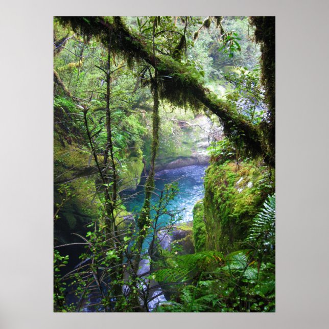 Póster Poster del río Jungle Lush (Frente)