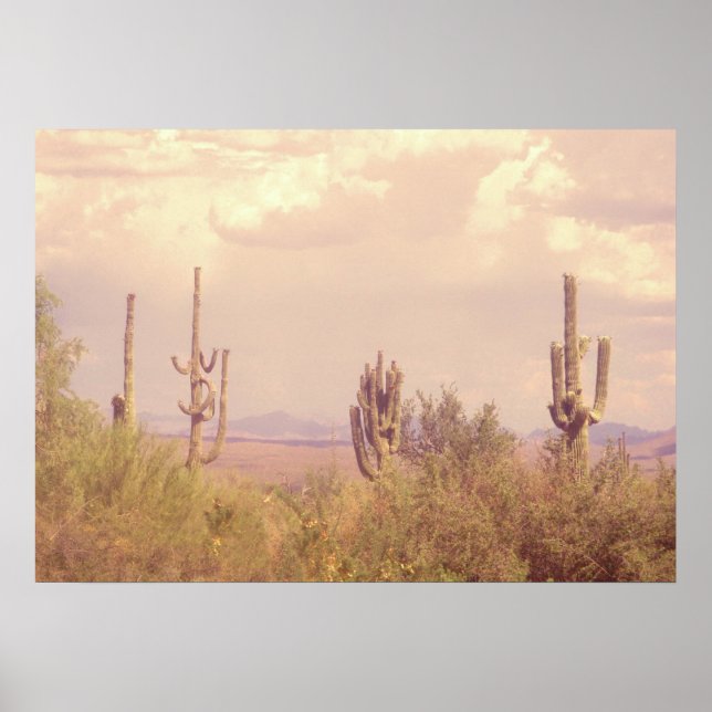Póster Poster del sueño del desierto (Frente)