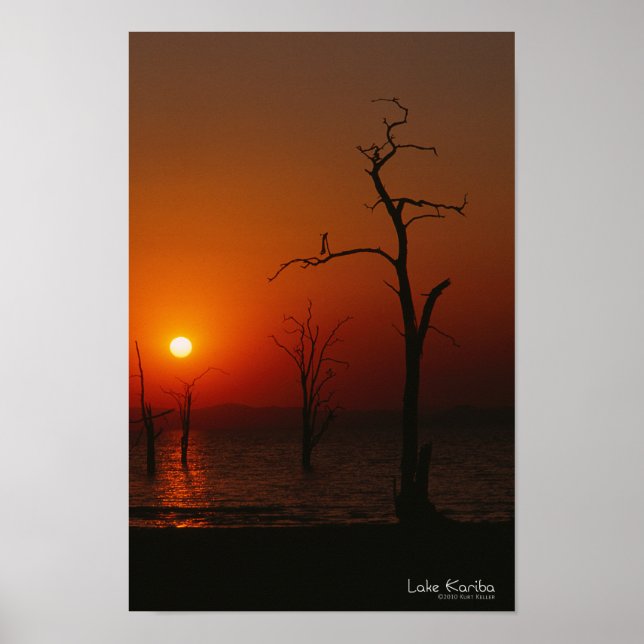 Póster Poster del Sunset Lake Kariba (Frente)