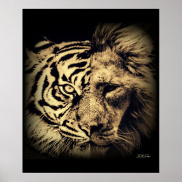 Póster Poster del tigre de león 2in1