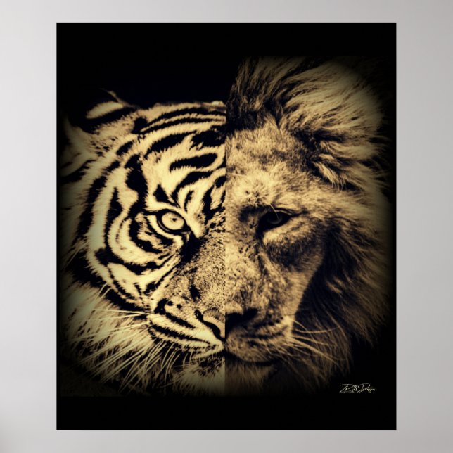 Póster Poster del tigre de león 2in1 (Frente)