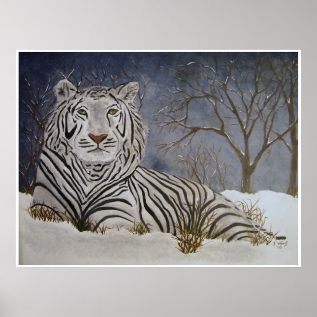 Póster Poster del tigre de nieve (Frente)