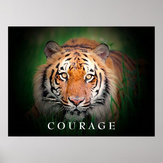 Póster Poster del tigre de valor motivacional (Frente)