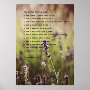 Póster Poster del verso de Ecclesiastes