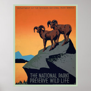 Póster Poster del vintage del parque nacional