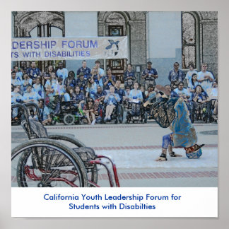 Póster poster del YLF 2009