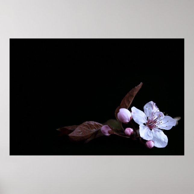 Póster Poster Delicado de Flores (Frente)