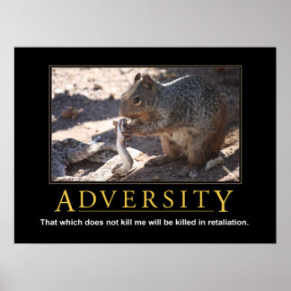 Póster Poster Demotivacional: Adversidad