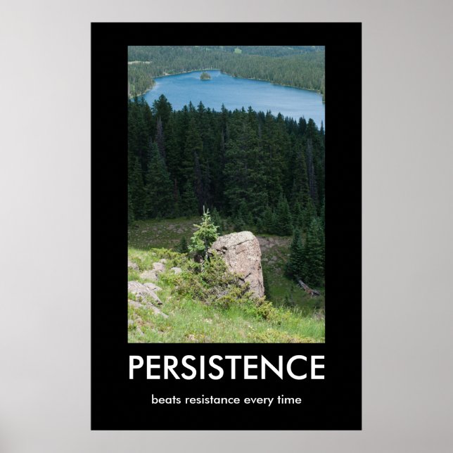 Póster Poster Demotivacional de Persistencia (Frente)