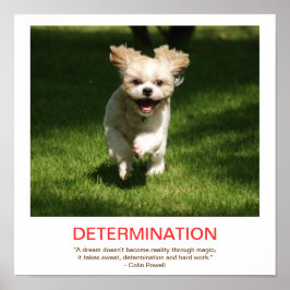 Póster POSTER desmotivacional de DETERMINACIÓN