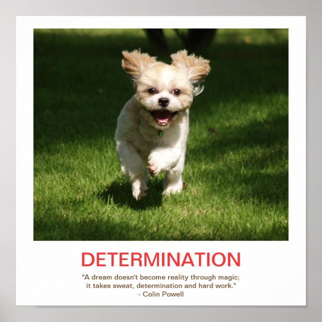 Póster POSTER desmotivacional de DETERMINACIÓN (Frente)