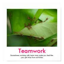 POSTER desmotivacional de TEAMWORK