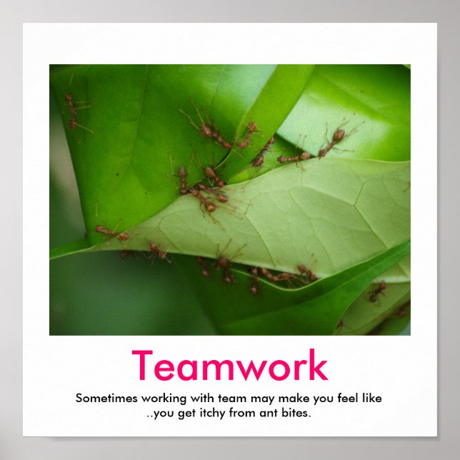 Póster POSTER desmotivacional de TEAMWORK (Frente)