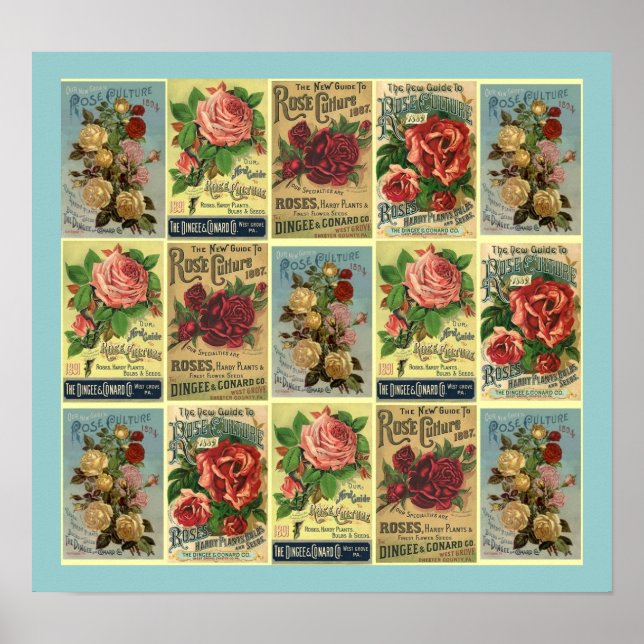 PÓSTER POSTER ~DISEÑADO DE LA GUÍA DE CULTURA ROSA DE VIN (Frente)