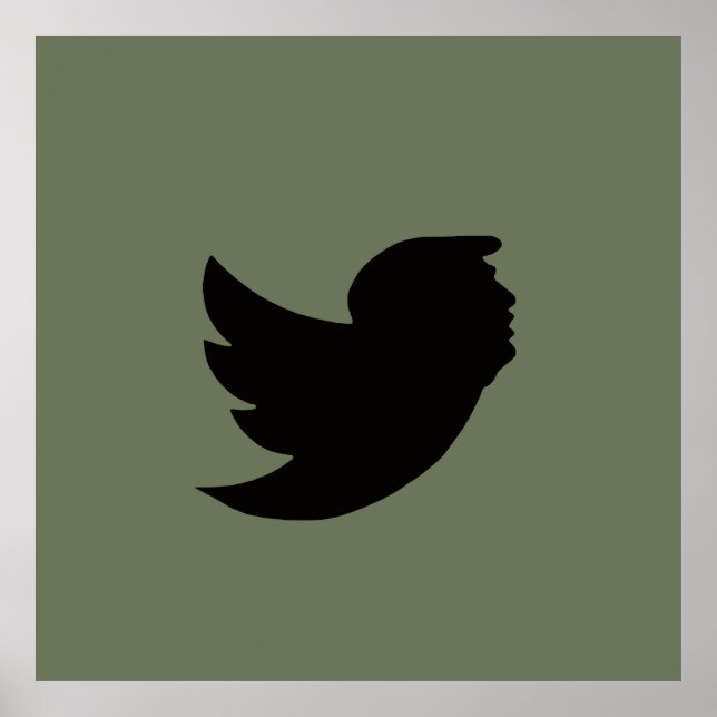 PÓSTER POSTER - DISEÑO DE AVES T - VERDE/NEGRO (Frente)