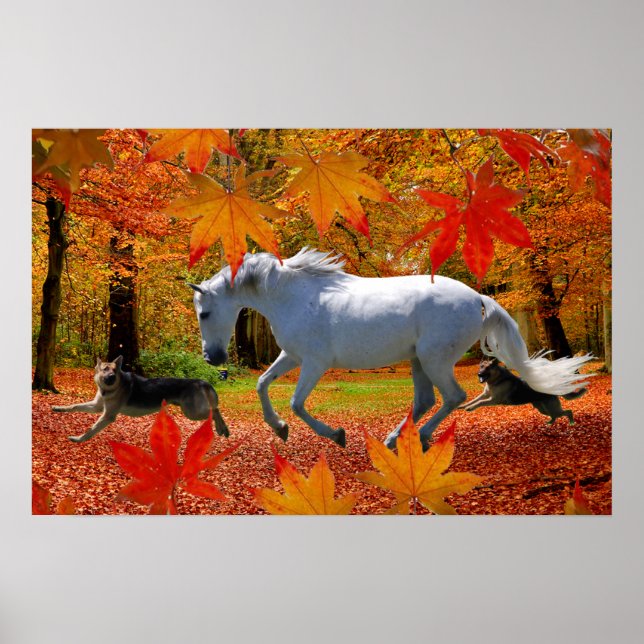 PÓSTER POSTER DIVERTIDO DE LA CAÍDA DE OSADA (Frente)