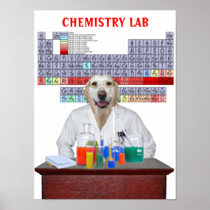 Póster Poster divertido de la química del laboratorio