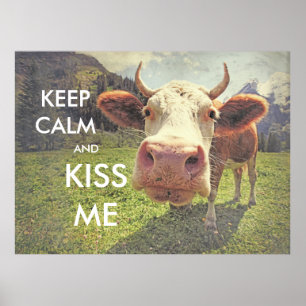 Póster poster divertido MANTENER CALMA