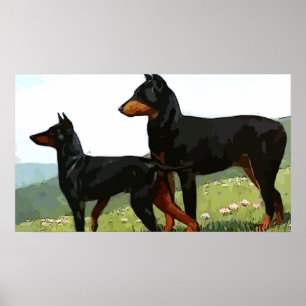 Póster Poster Doberman Pincher pintado de época