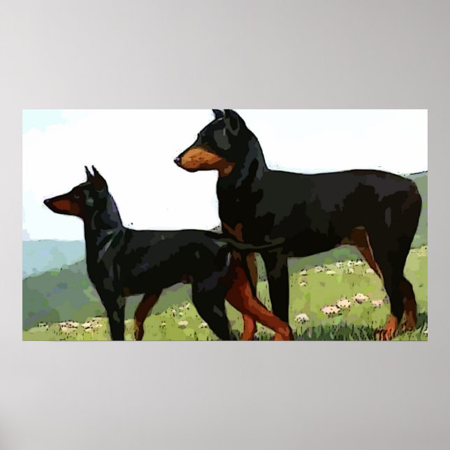 Póster Poster Doberman Pincher pintado de época (Frente)