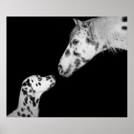 Póster Poster Dotted