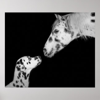 Póster Poster Dotted