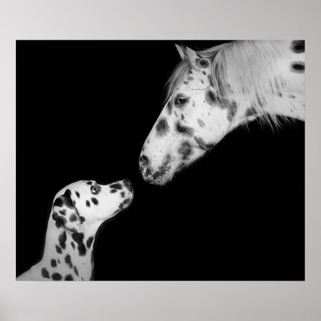 Póster Poster Dotted (Frente)
