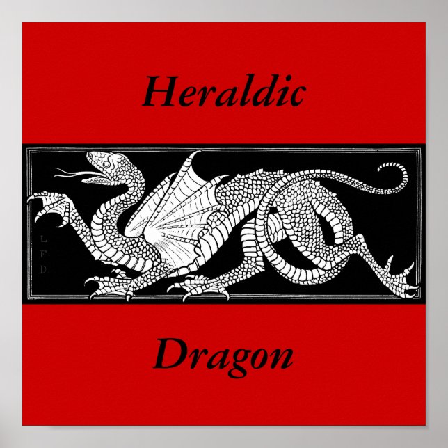 Póster Poster Dragon (Frente)
