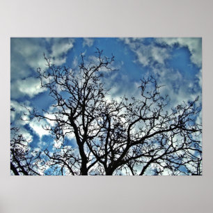Póster Poster dramático del cielo de los árboles