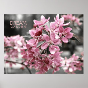 Póster Poster Dream Garden