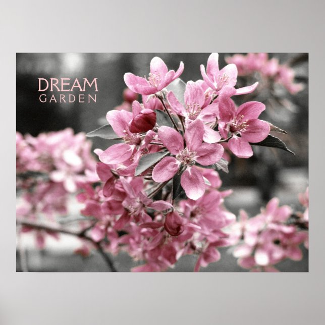 Póster Poster Dream Garden (Frente)
