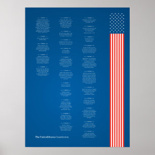 Póster Poster Econo USA Constitución Bandera Americana