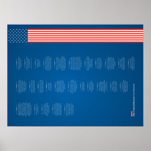 Póster Poster Econo USA Constitución Bandera Americana
