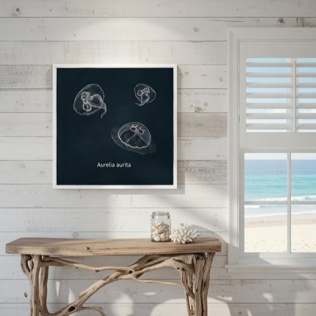 Póster Poster Educativo Aurelia aurita (Subido por el creador)