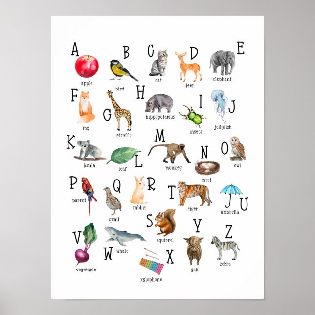 Póster Poster educativo Cute Alphabet ABC (Frente)