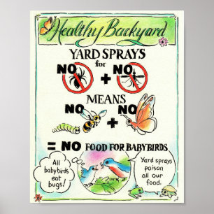 Póster Poster educativo - ¡No al insecto!