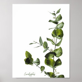 Póster Poster elegante minimalista Sage Eucalyptus
