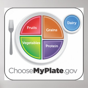 Póster Poster ElegirMyPlate