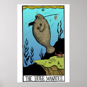 Póster Poster enorme del Manatee