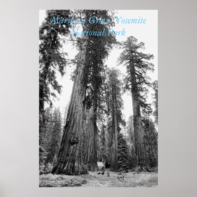 Póster Poster entre gigantes (Frente)