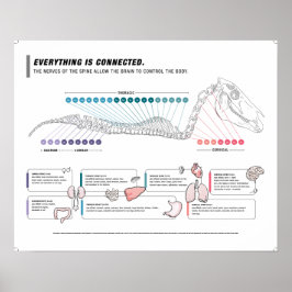 Póster Poster equino