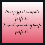 Póster Poster español - Lágrima rosada - Sin espermas...<br><div class="desc">No esperes el momento perfecto. Tómate el momento y hazlo perfecto.</div>