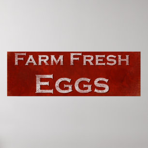 Póster Poster estándar de huevos frescos de granja