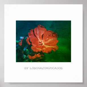 Póster Poster estilizado de flores de geranio verde rojo