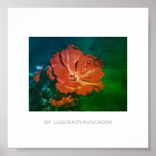 Póster Poster estilizado de flores de geranio verde rojo (Frente)