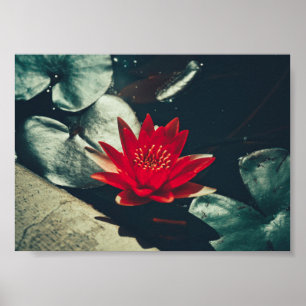 Póster Poster estilizado de plantas de flores de Lily Red